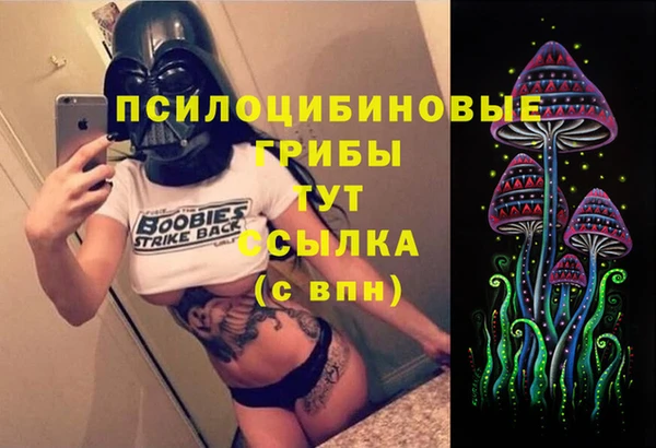 spice Переславль-Залесский