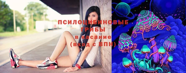 прущая мука Осинники
